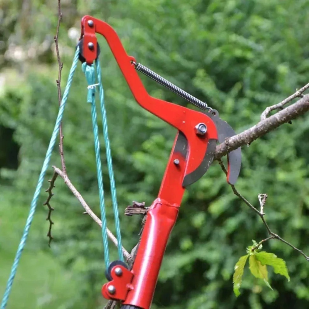 Tree Branches Cutter